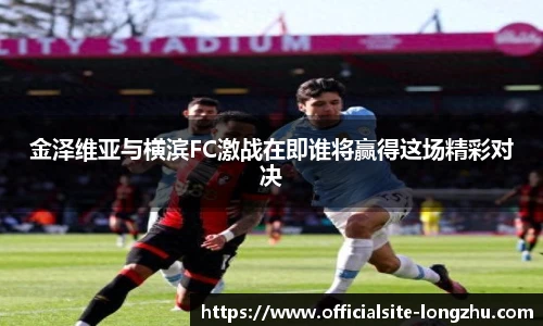龙珠体育
