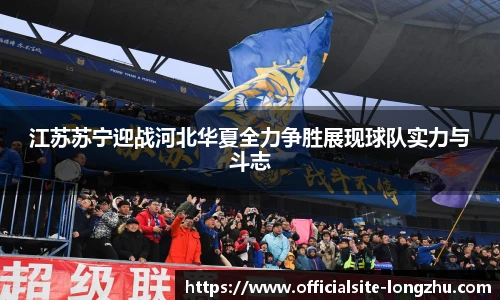 龙珠体育