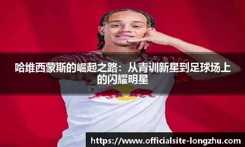 龙珠体育