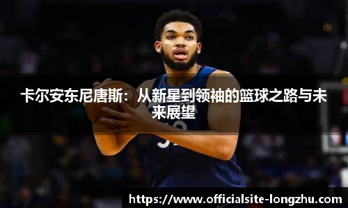 龙珠体育